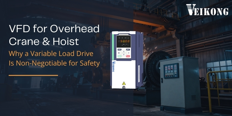 Hoist & Crane Vfds