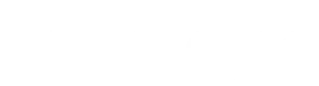 Veikong logo