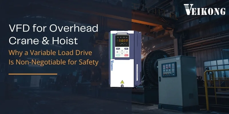 Hoist & Crane Vfds